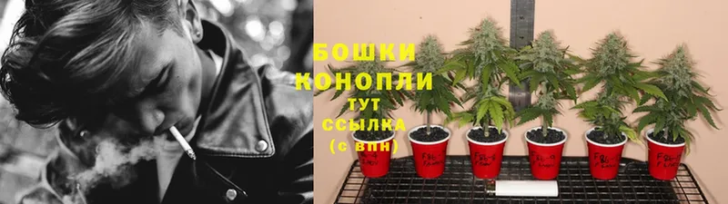 площадка клад  купить наркотики цена  Мегион  МАРИХУАНА LSD WEED 